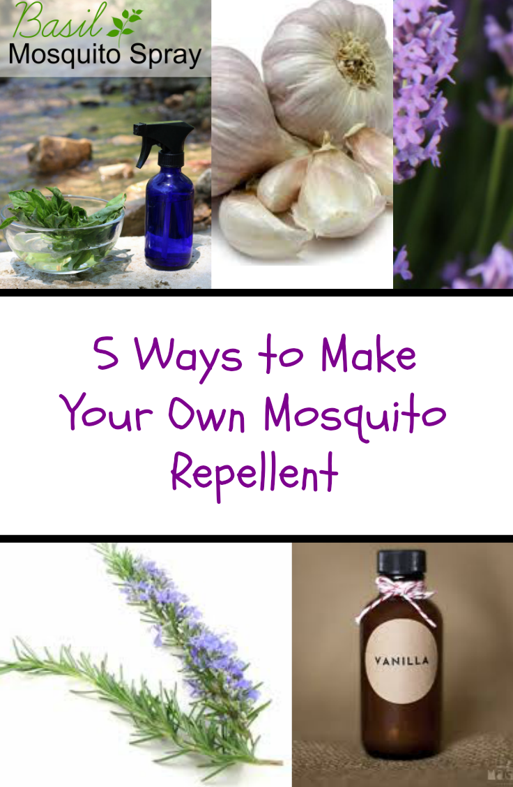 5 Ways to Make Your Own Mosquito Repellent Fabulessly Frugal