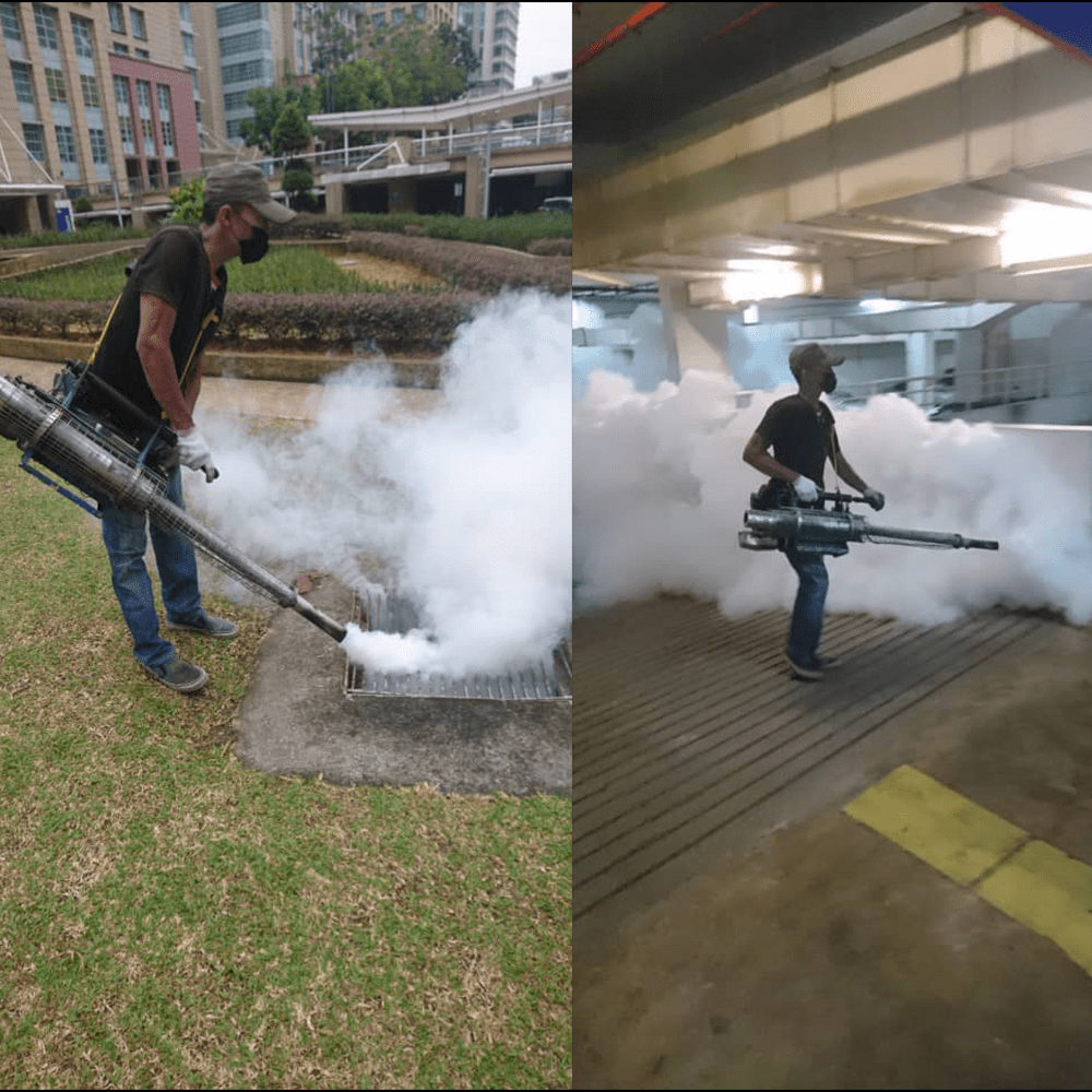 Rise pest control tewsforest