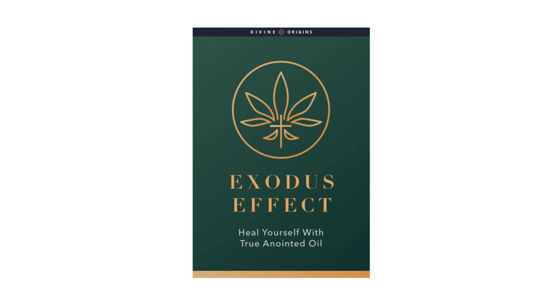 Exodus Effect Reviews Divine Healing Book By Pastor Andrew Reviewed