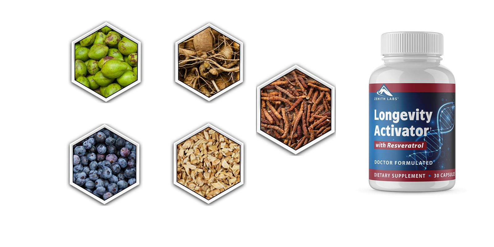 Longevity Activator Reviews Does Zenith Lab’s Longevity Activator