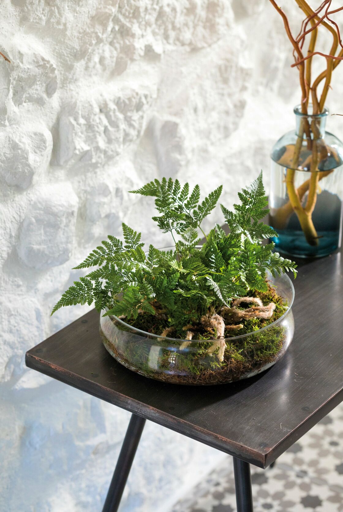 Comment fabriquer un terrarium pour orchidée ou fougère