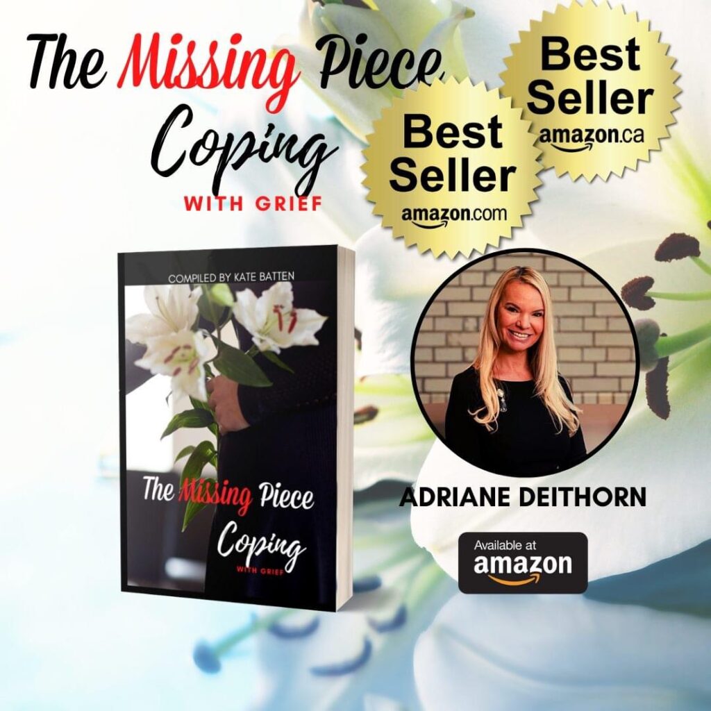 The Missing Piece Book Amazon The Missing Piece Amazon