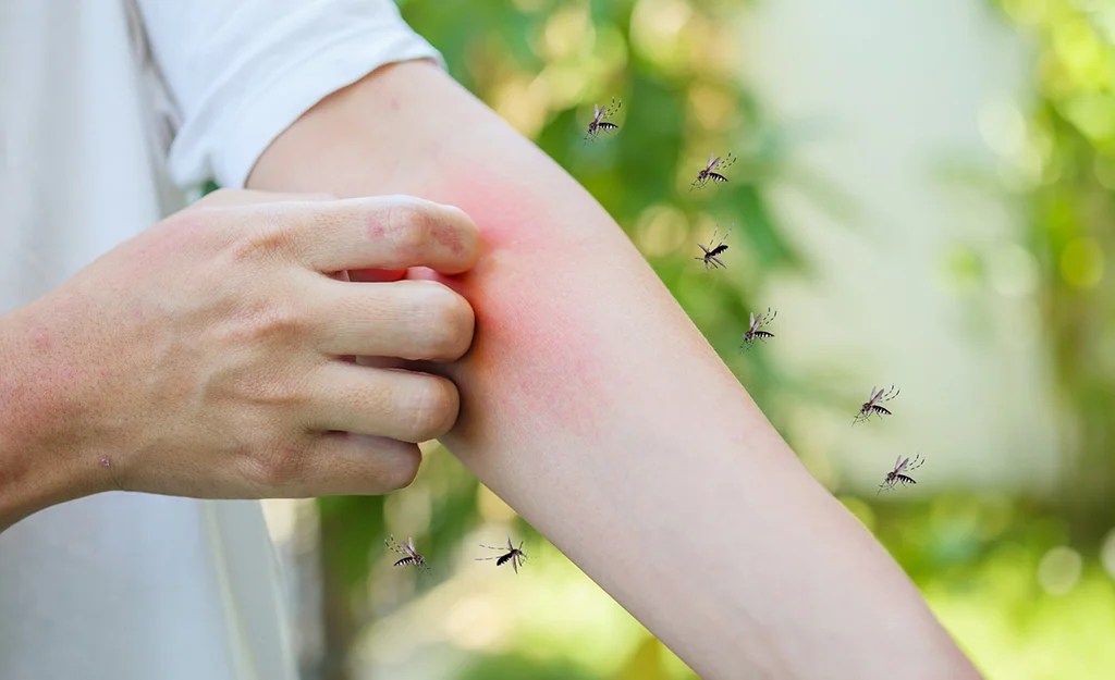 Skin Armour Anti Mosquito Soap All Natural Mosquito Repellent