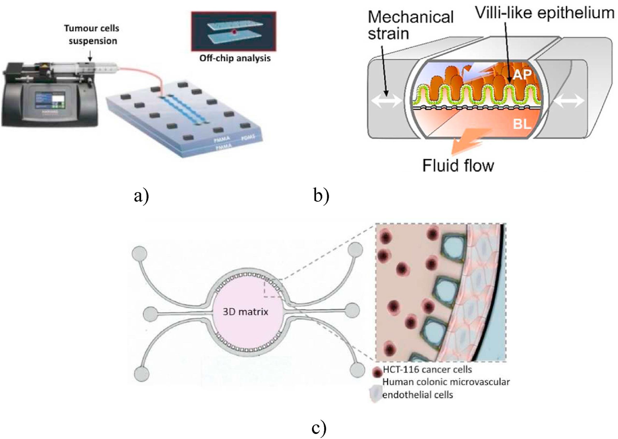 OrganOna Chip (OoC) Models of Colorectal Cancers faCellitate
