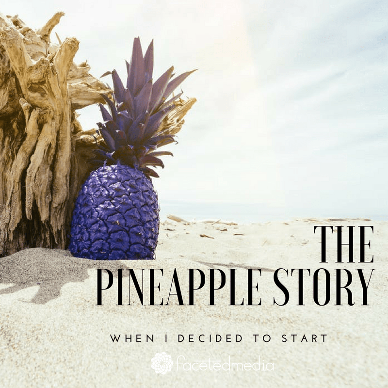 The Pineapple Story Faceted Media Digital Marketing +  Design