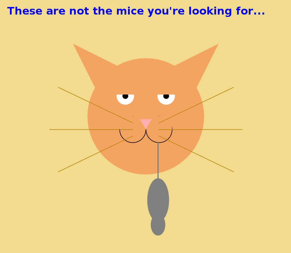 Java Cats