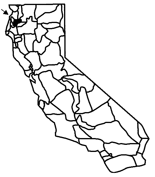 Monterey Harbor California 1852 Photograph By California Views