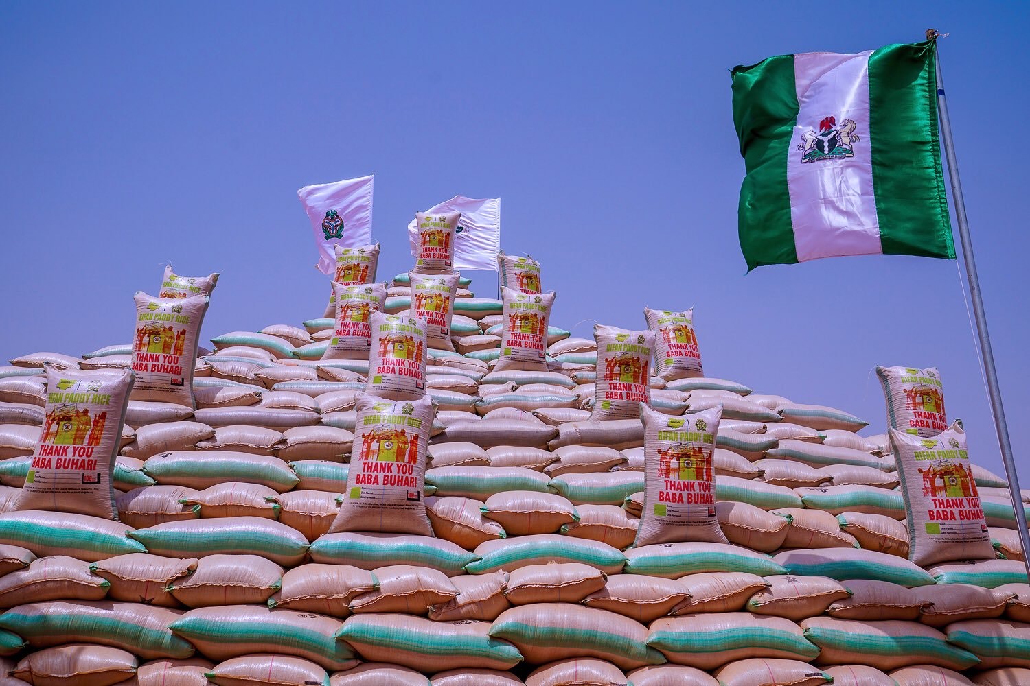 Is Nigeria the largest producer of rice, in Africa?