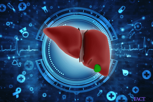 Why you should adopt a Mediterranean diet today? FactDr