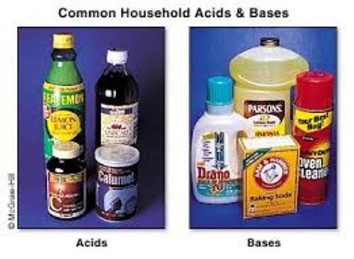 10 Facts about Acids and Bases Fact File