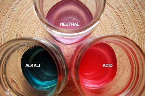 10 Facts about Alkalis Fact File