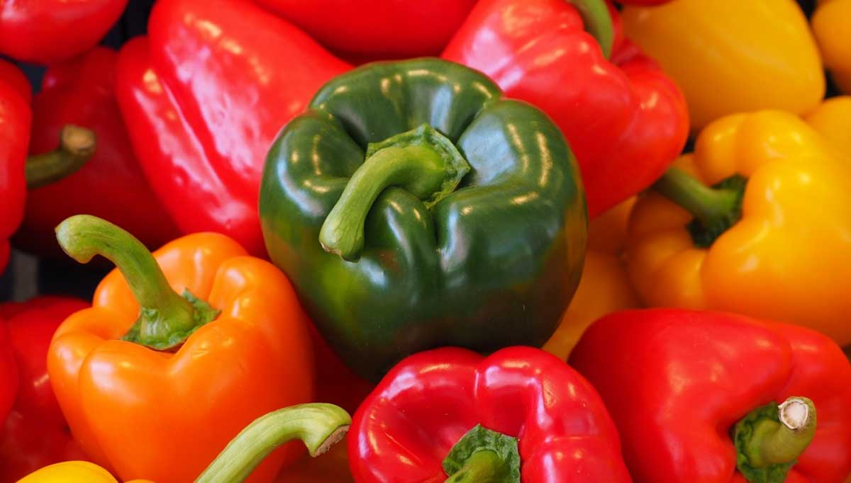 Red, Orange, Yellow, and Green Bell Peppers are All Different Types of