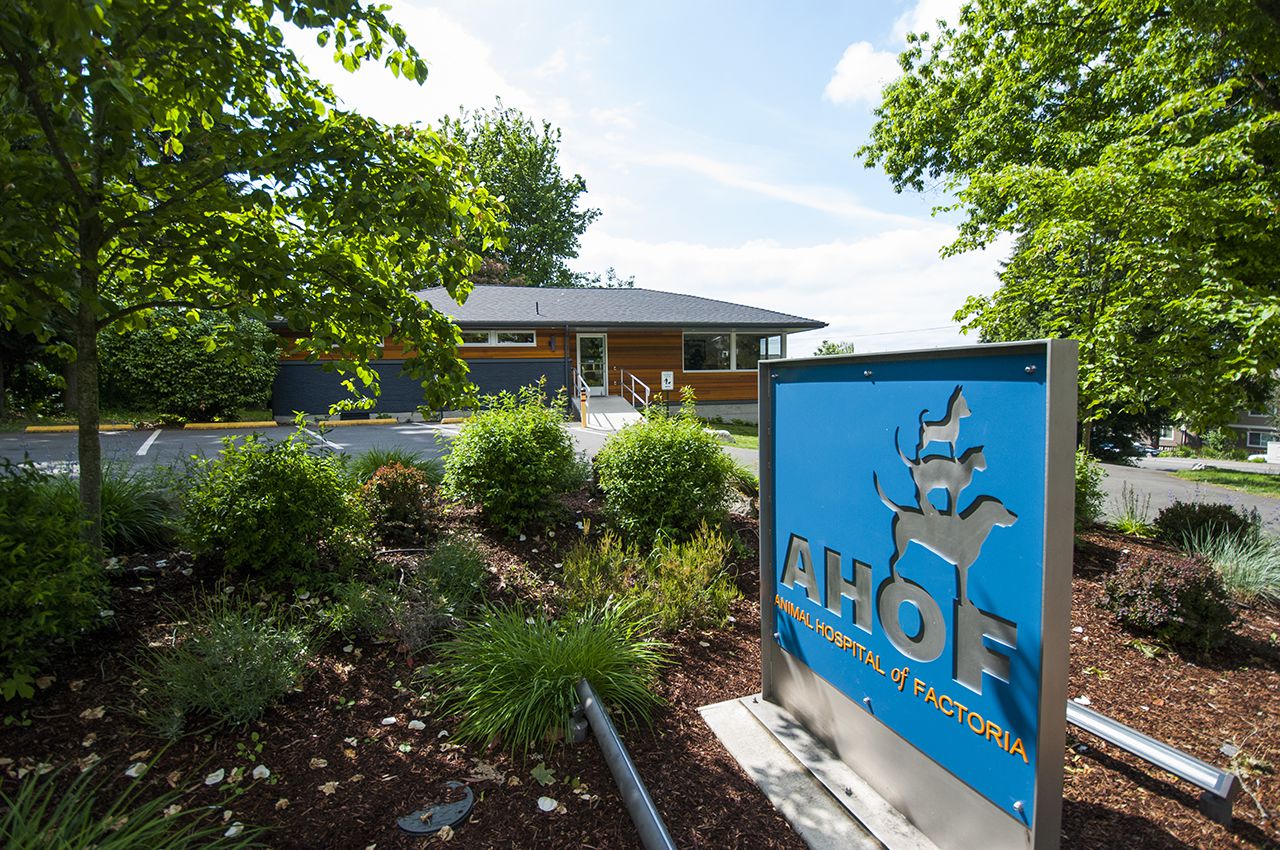 Animal Hospital of Factoria