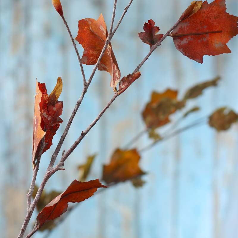 Fall Artificial Leaf Stem Picks and Stems Floral Supplies Craft