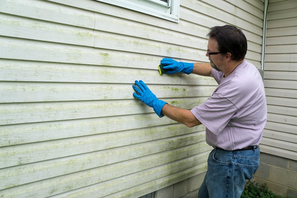 Spring Cleaning The Best Ways To Clean Vinyl Siding