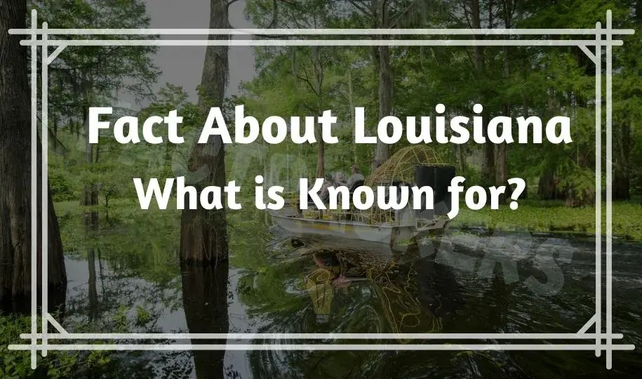 What are 30 Most Interesting & Fun Fact About Louisiana