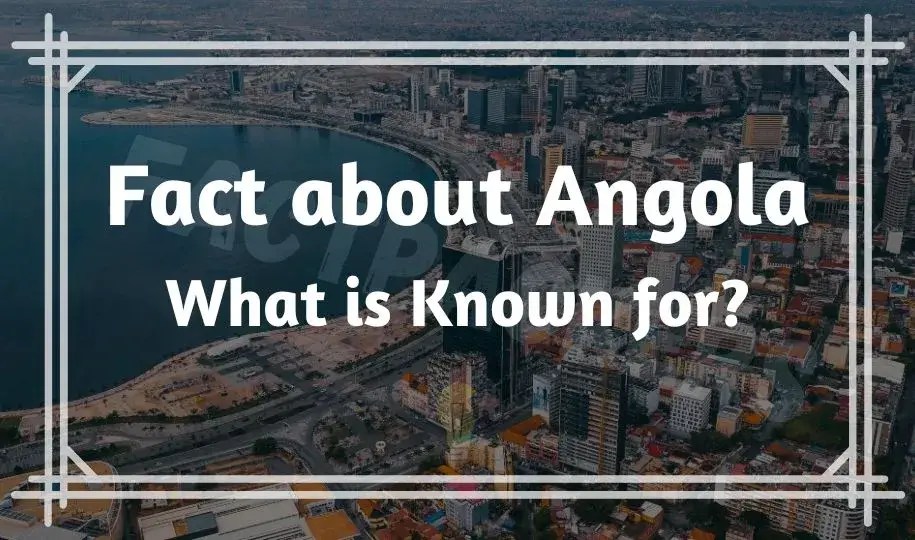 50 Funny & Interesting Facts about Angola Africa that Unknown