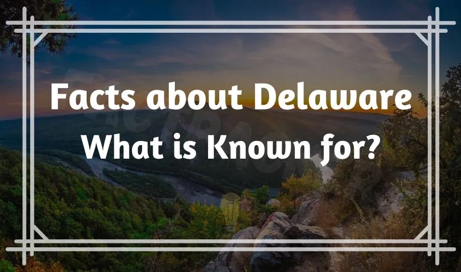 66 Interesting Fun Facts about Delaware What is Known for?