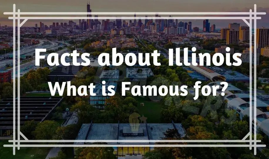 Funny & Interesting Facts About Illinois What is Famous for