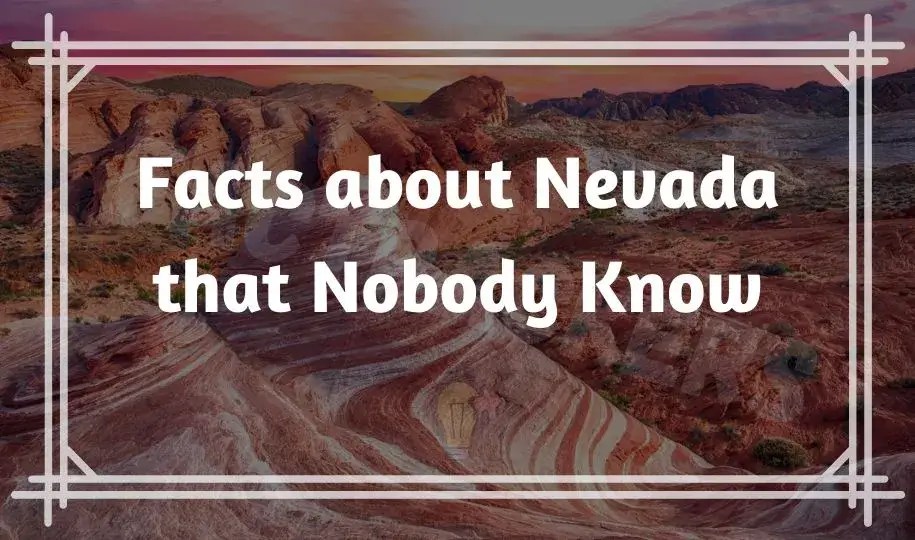 21 Interesting & Fun Facts about Nevada What is Known for
