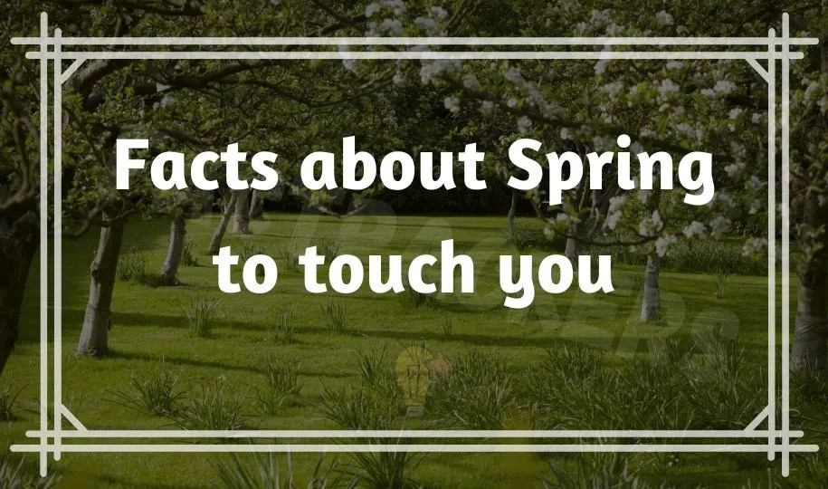 38 Interesting & Fun Facts about Spring that Nobody Know