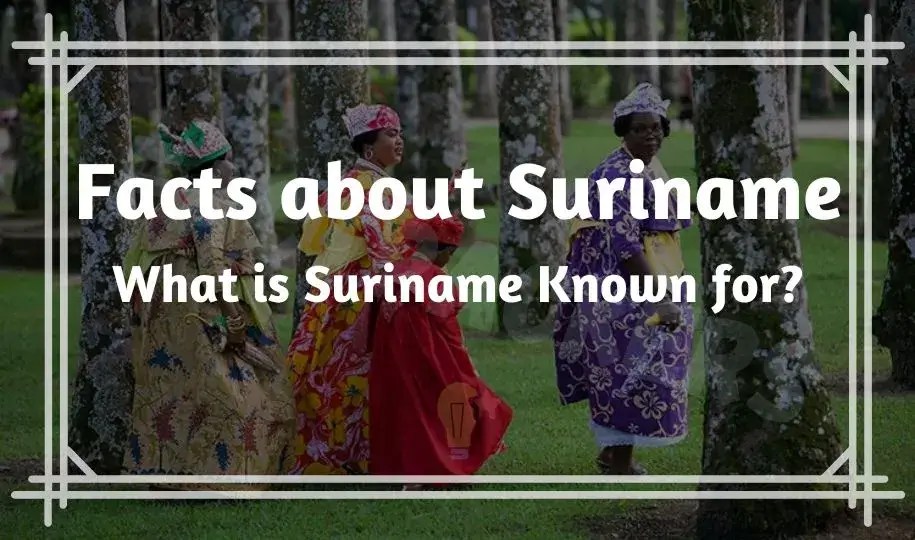 50 Interesting Facts About Suriname What is Suriname Known for?