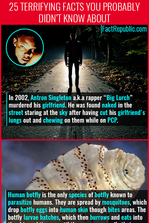 25 Terrifying Facts You Probably Didn't Know About Fact Republic