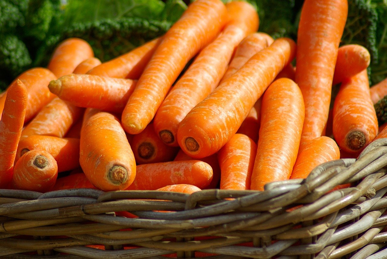 50 Interesting Carrot Facts That You Never Knew About