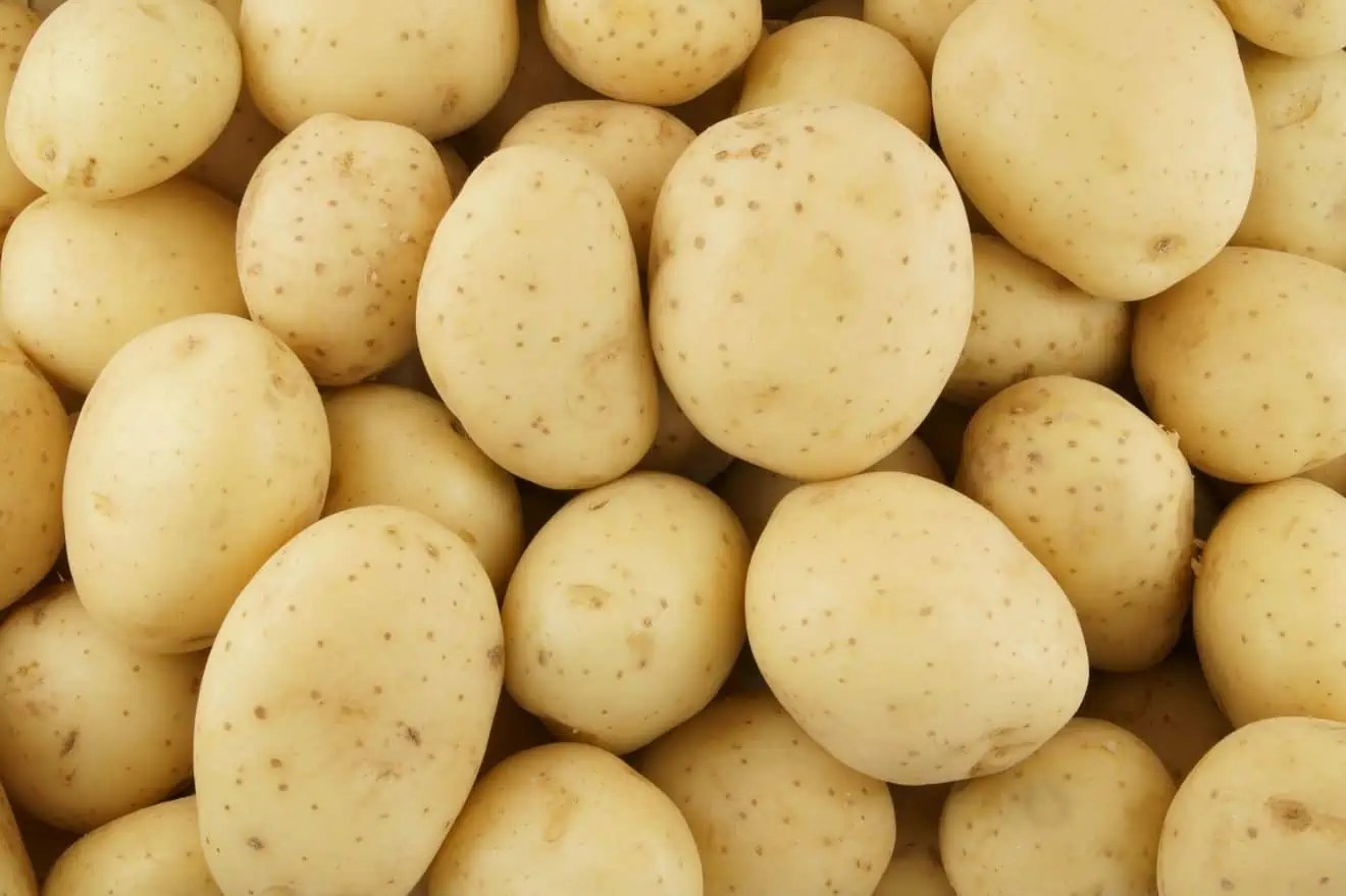 20 Types of Potatoes For The Best Potato Dishes