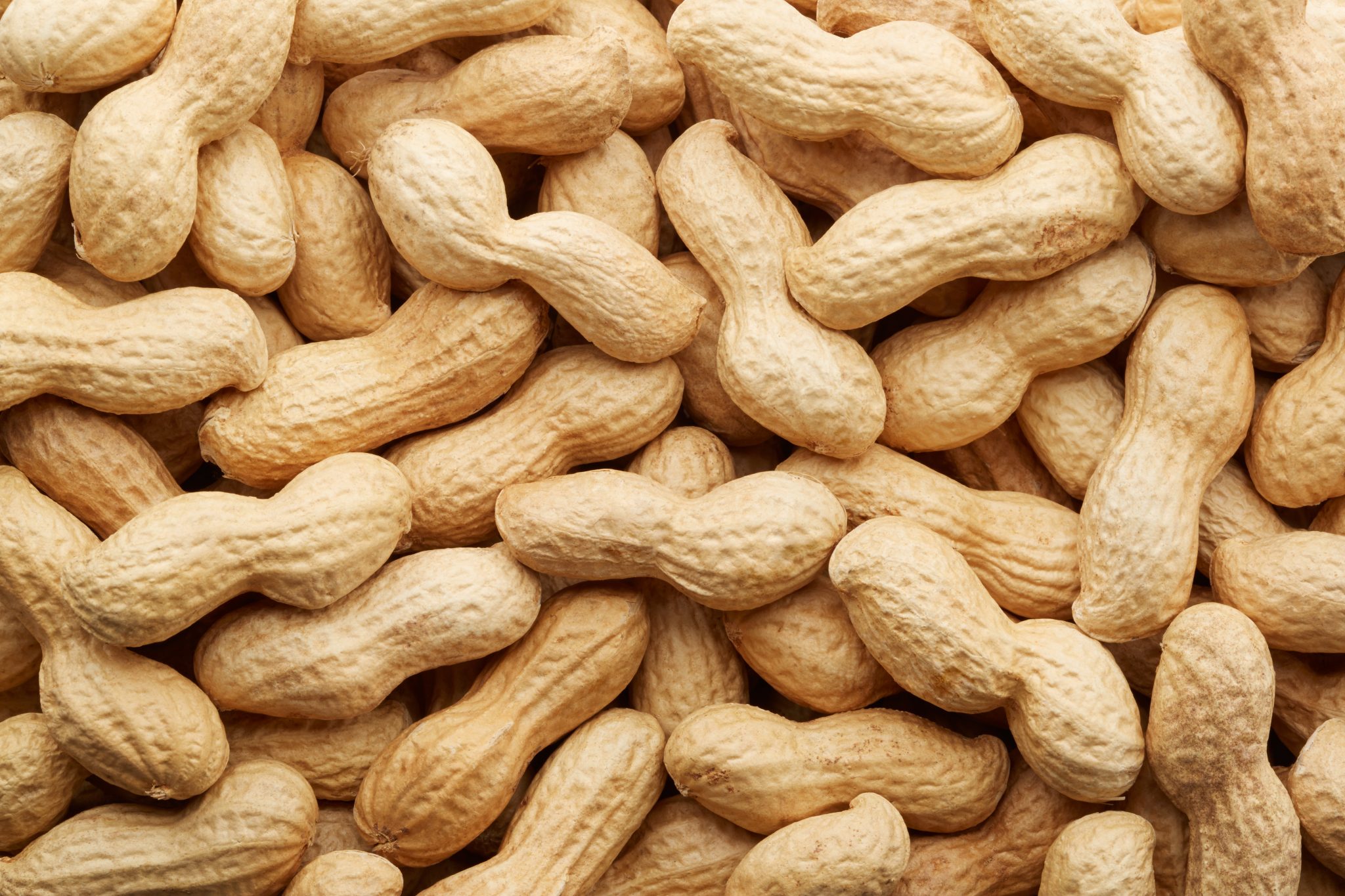 Where Do Peanuts Come From?