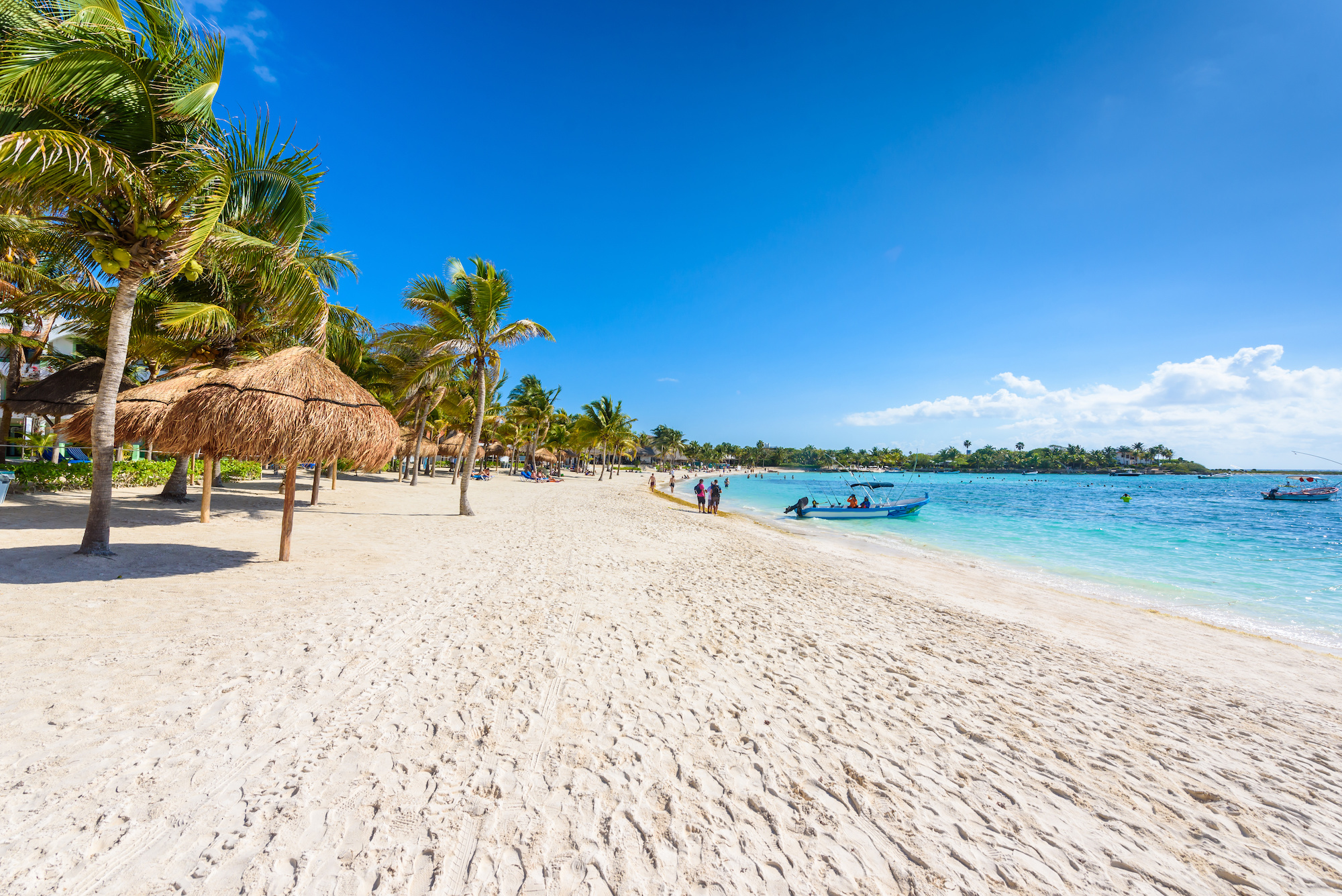 20 Beach Facts Beauty, Ecology, and Serenity of Coastal Environments