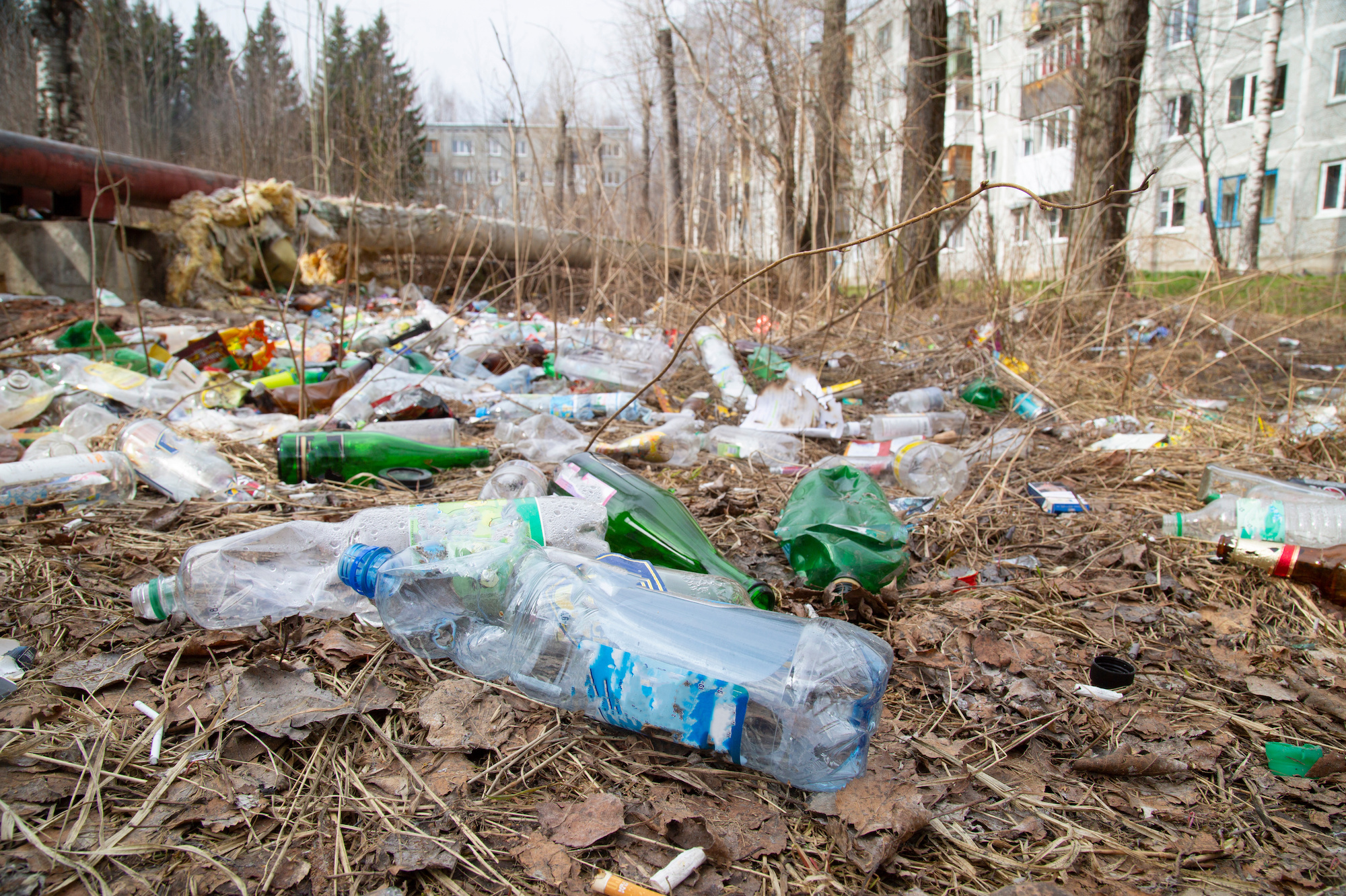 20 Startling Facts About Littering You Must Know