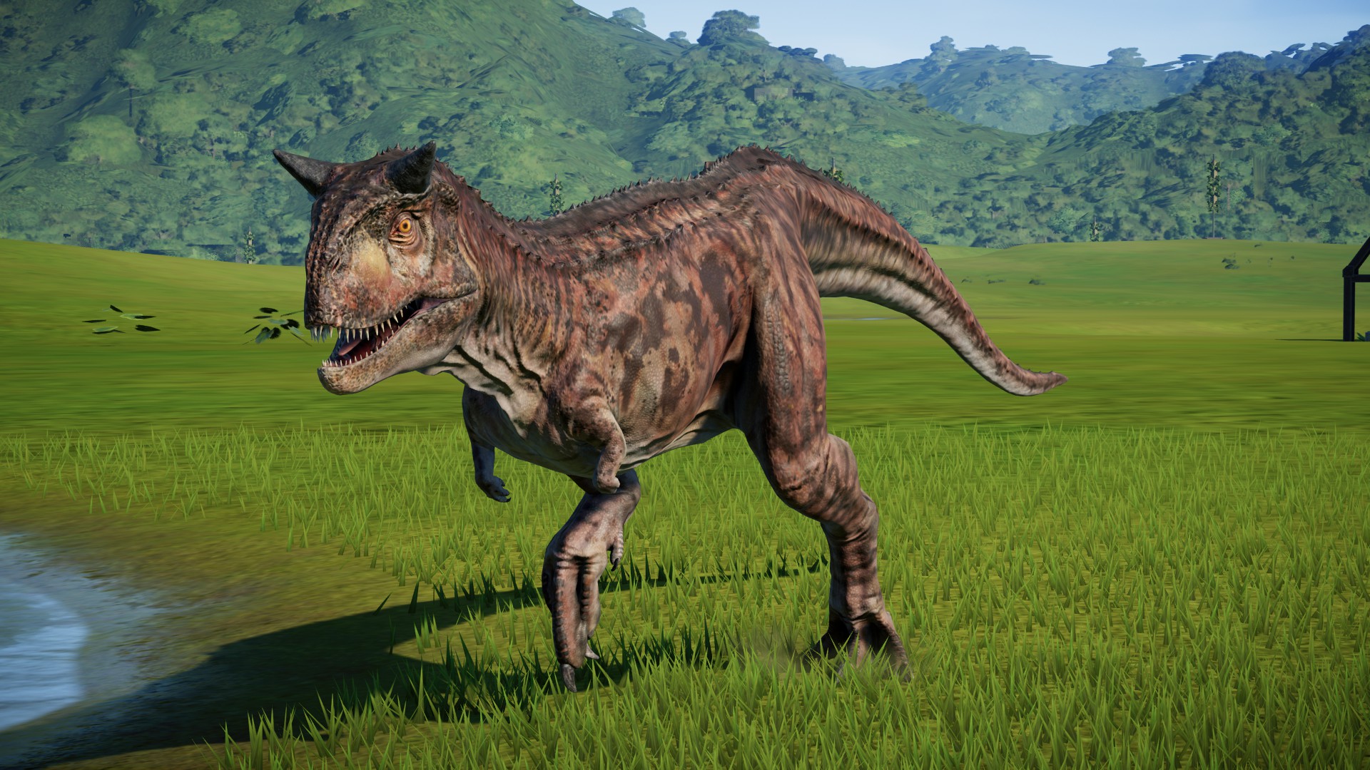 20 Carnotaurus Facts You Never Knew