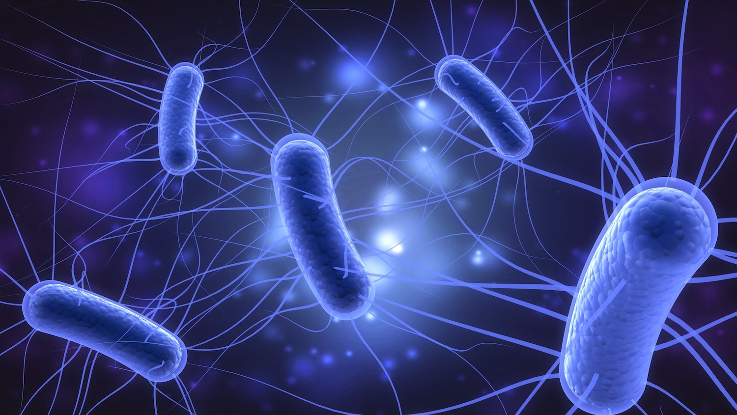 10 Fascinating Facts About E Coli