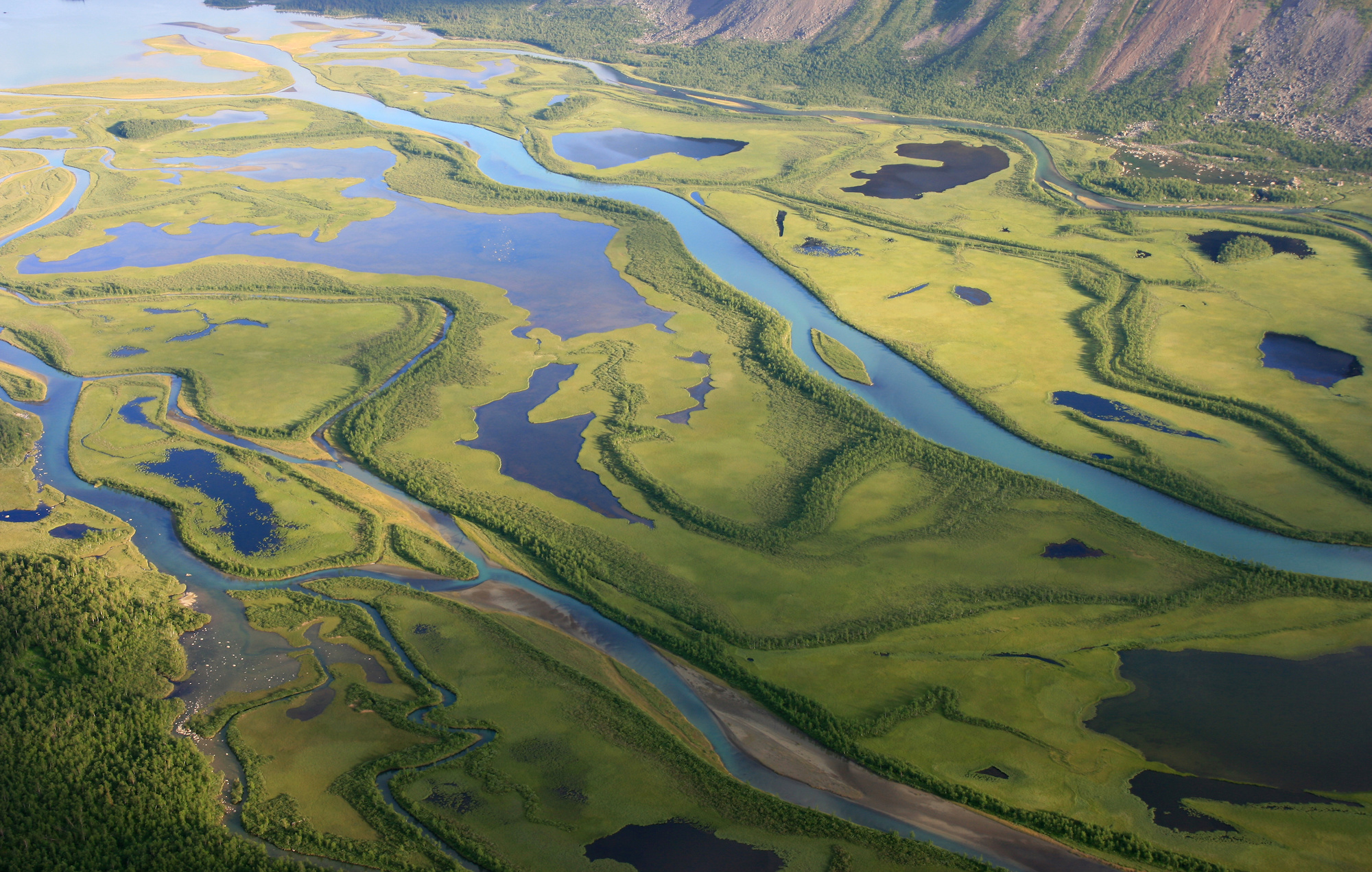 15 Facts About Deltas Unveiling the Marvels of River Diversification