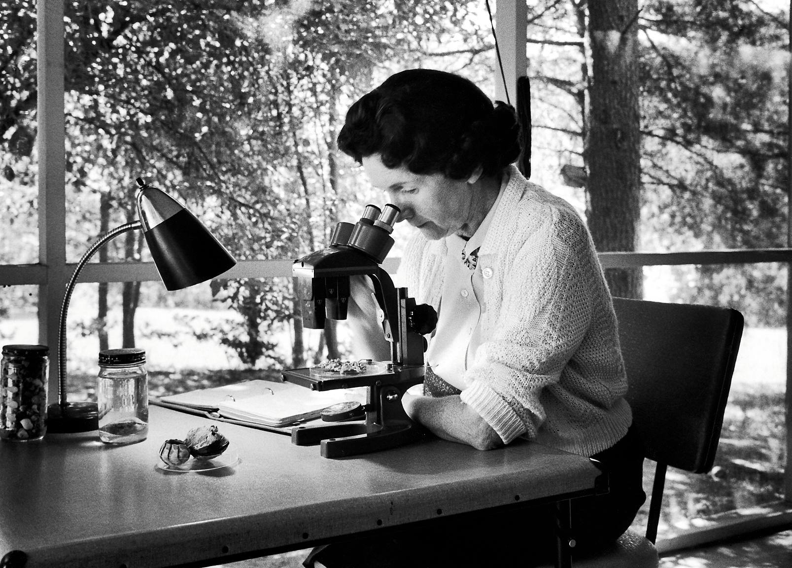 20 Rachel Carson Facts An Environmental Steward's Legacy