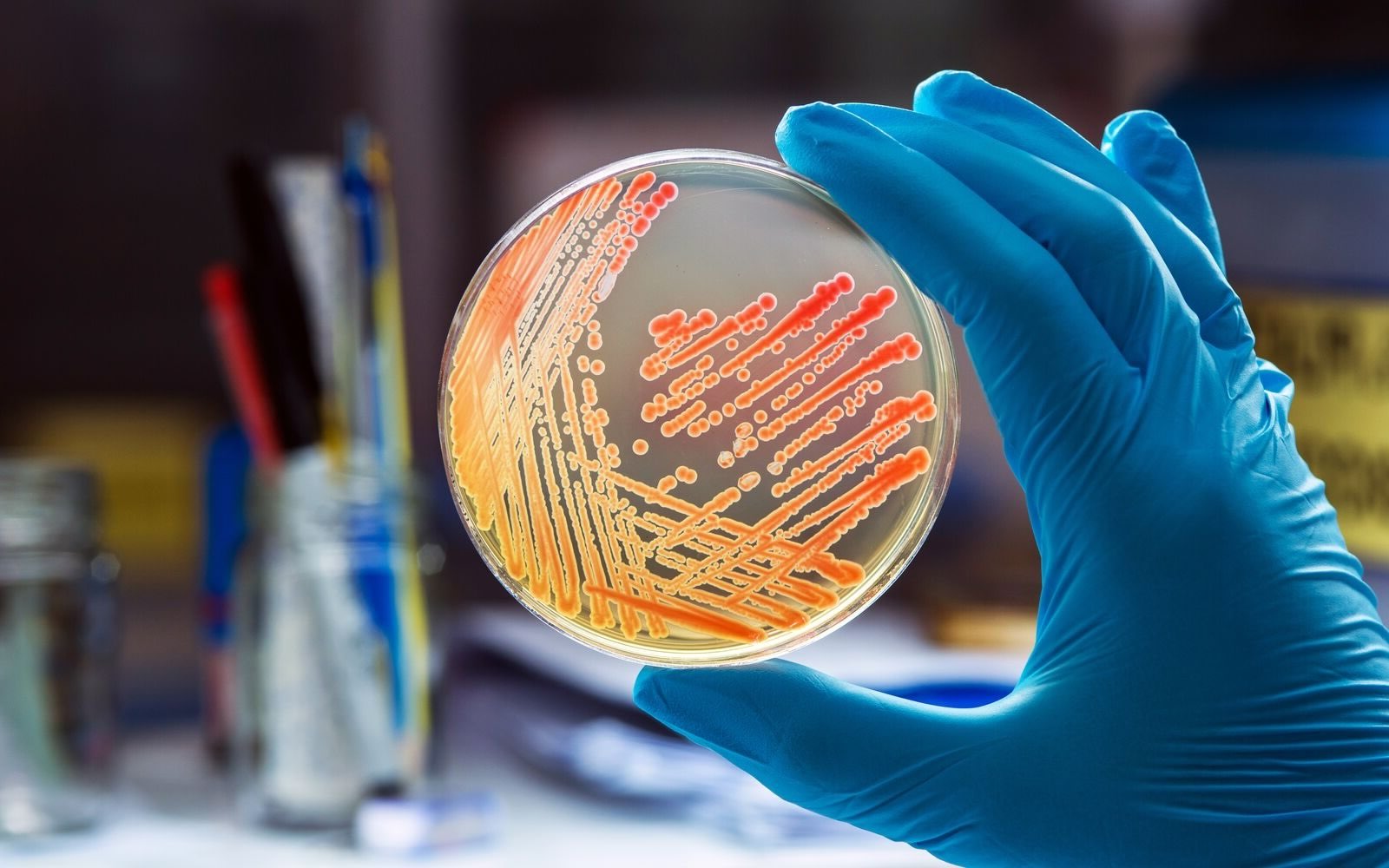 34-facts-about-bacteriology