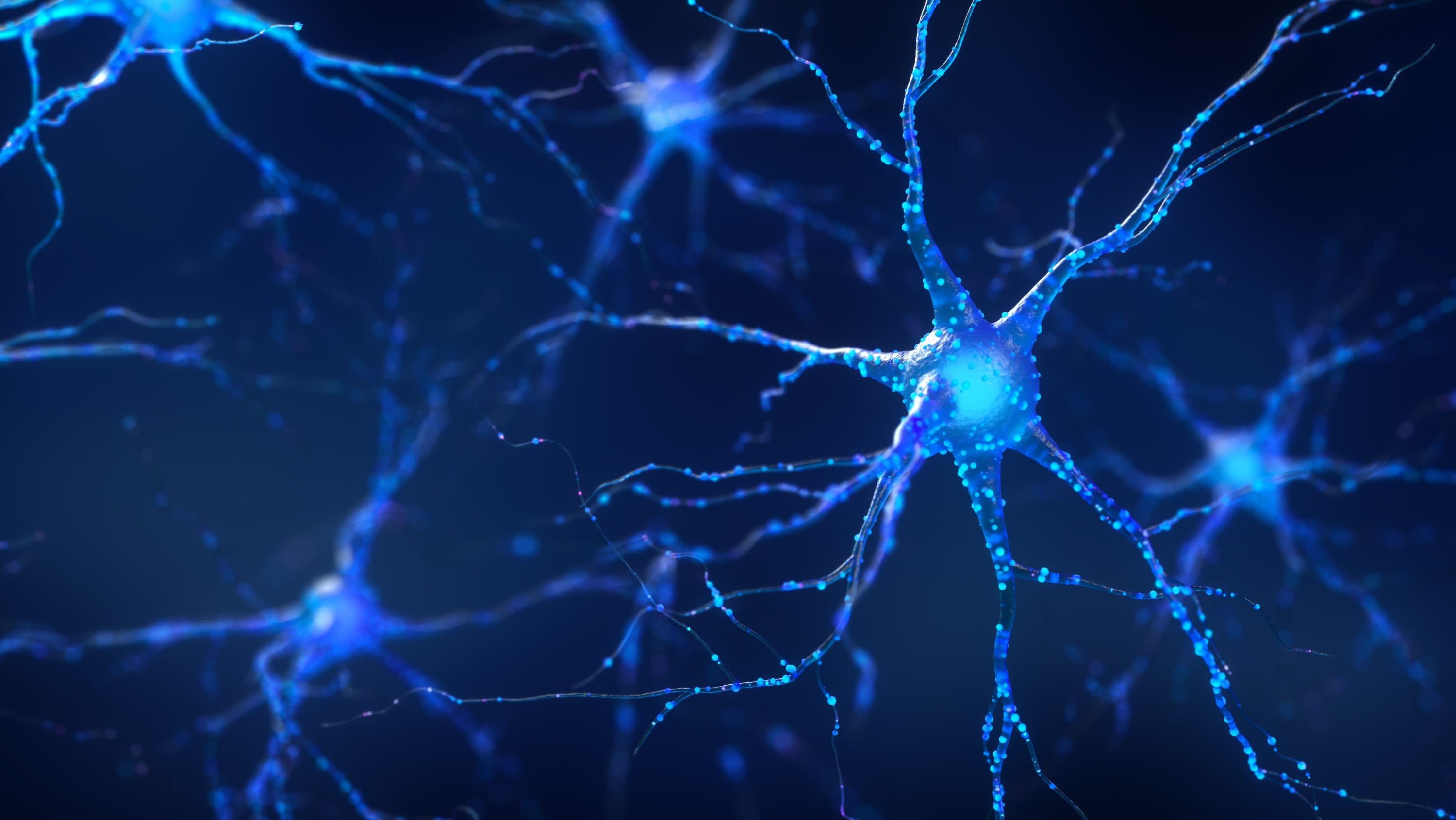 30-facts-about-nerve