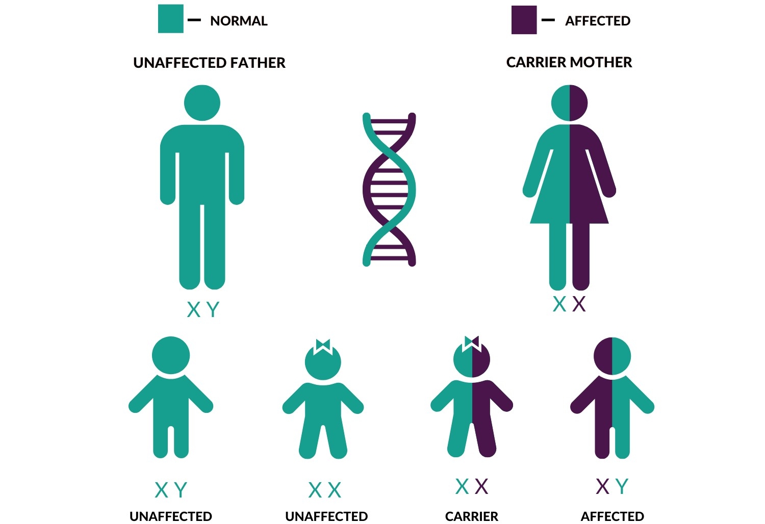 37-facts-about-inheritance-patterns