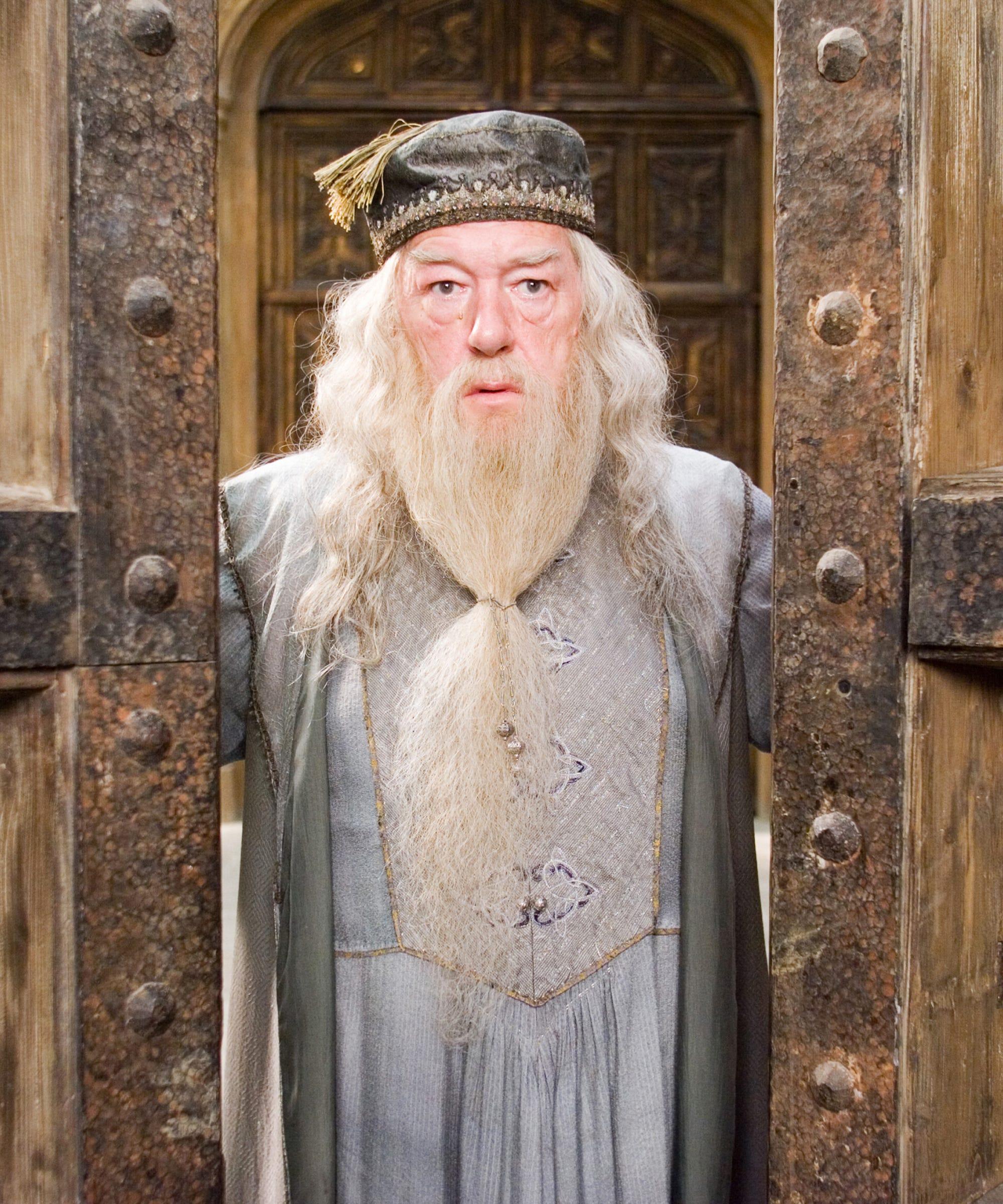 Harry Potter Trivia Time Meet the Dumbledores!