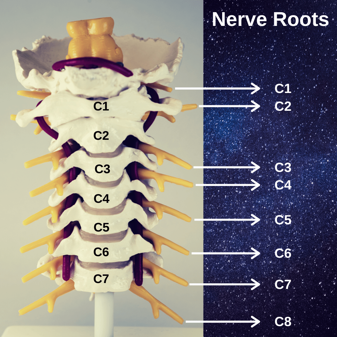The Authoritative Guide to Cervical Radiculopathy (and 8 Effective