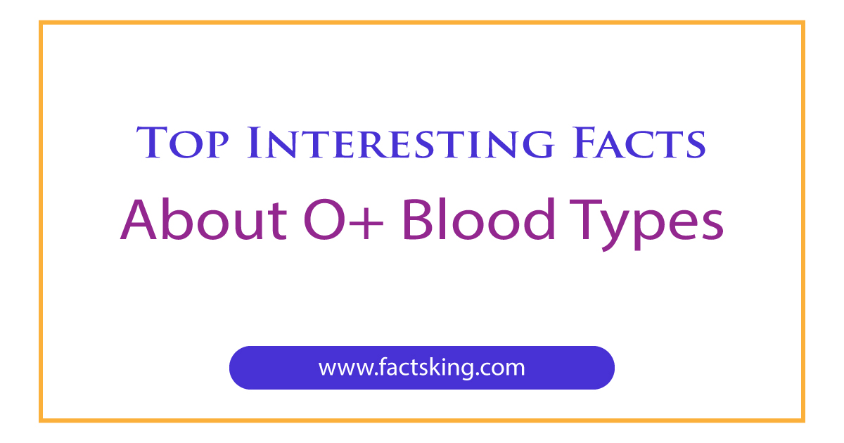 9 Interesting Facts about O+ Blood Types