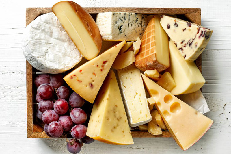Fun & Interesting Facts About Cheese Factspedia