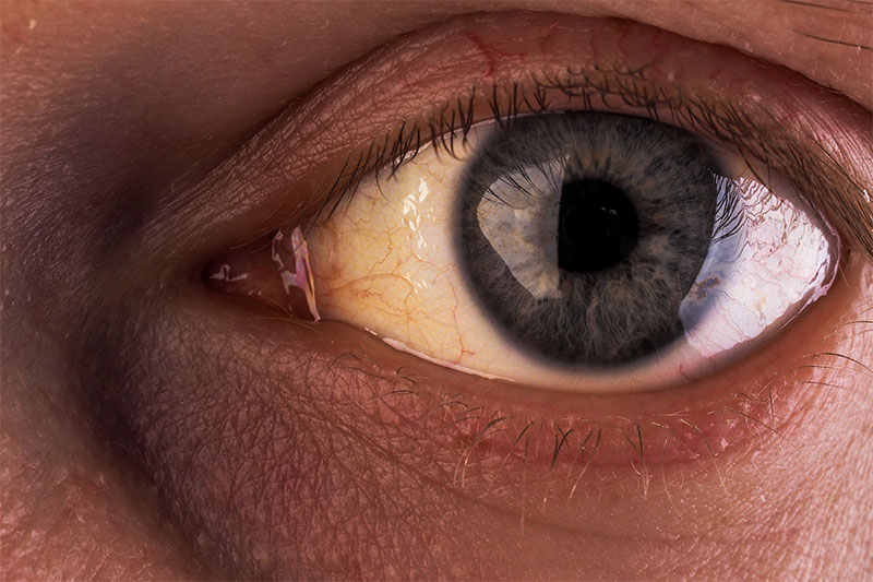 10 Things Your Doctor Can Tell Just by Looking at You