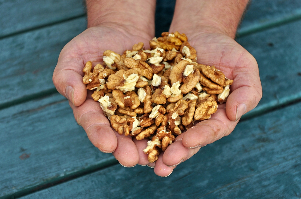 The Delicious Health Benefits of Walnuts Facty Health