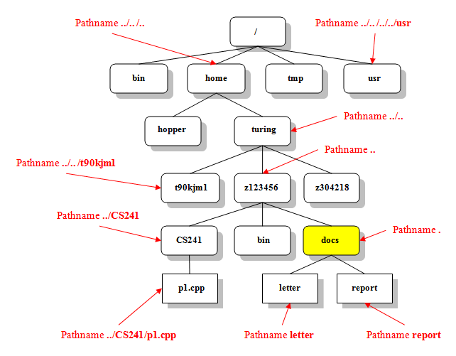 The UNIX File Structure