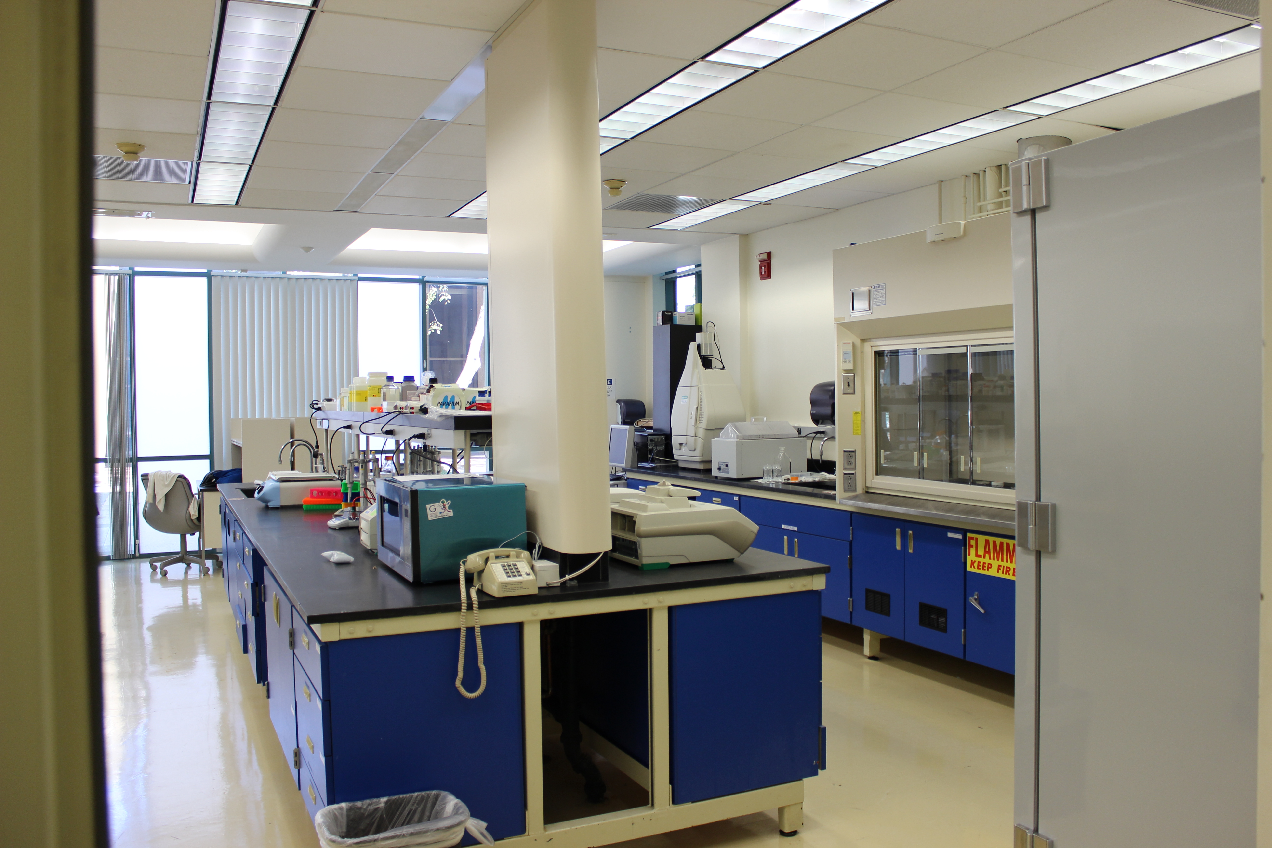 Research Opportunities