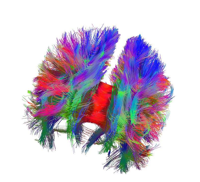 Erica Ward Secures DHSWired Internship Program at the Pacific