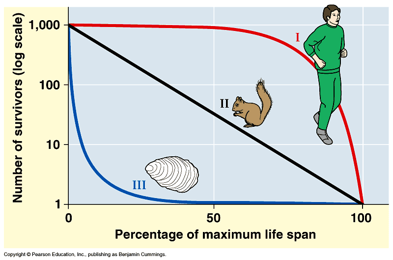 Population Ecology