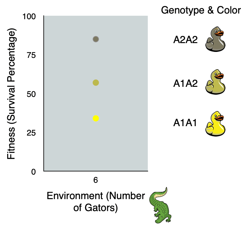 3 Genotype and Fitness Ducks & Gators Tutorial